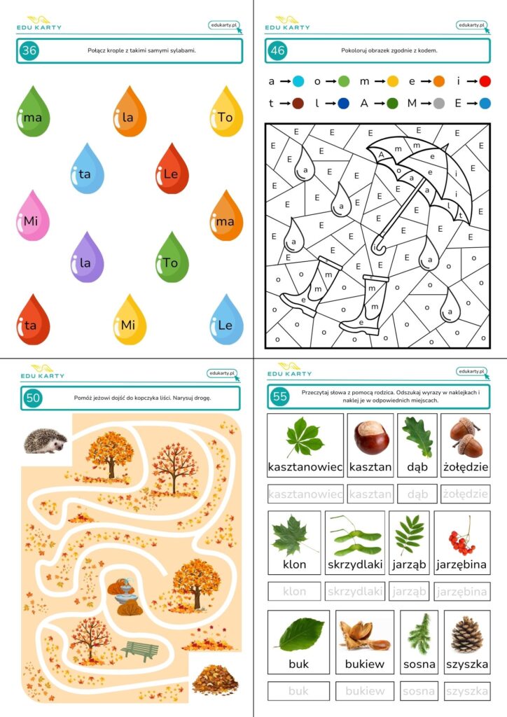 jesienny pakiet kart pracy podgląd 5