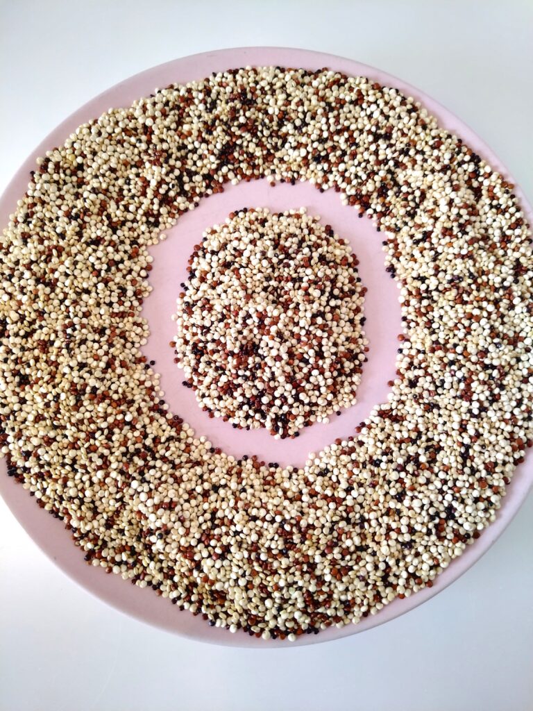 Litera L z komosy ryżowej